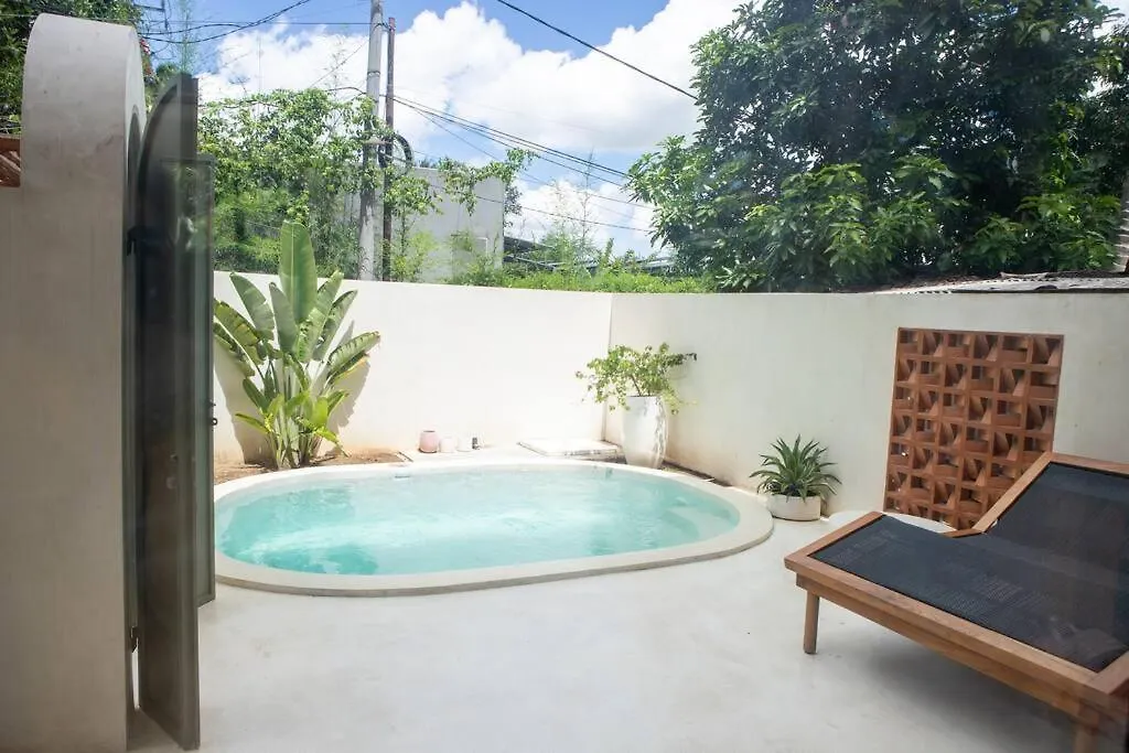 Villa Construction Dscnt Brand New 3Br In Ubud W Rice Field View